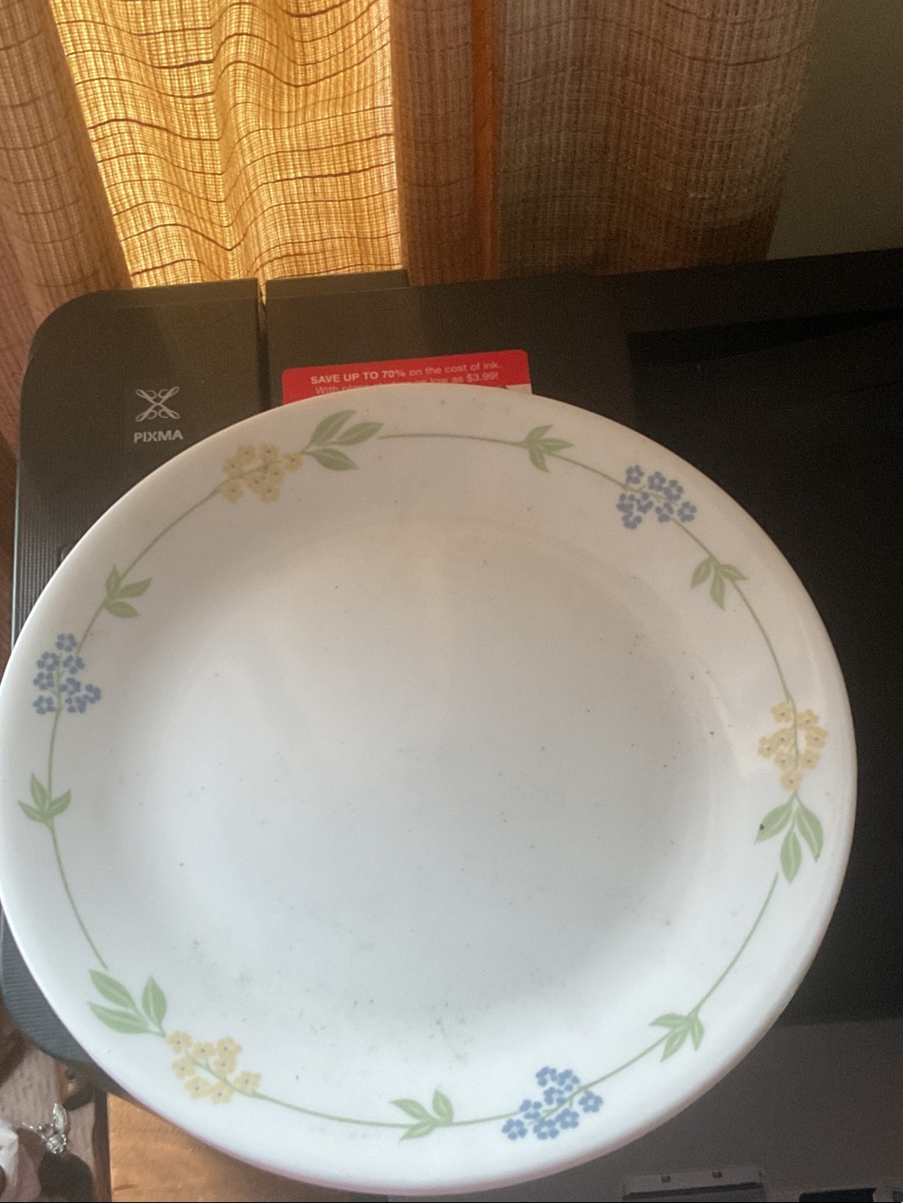 Corelle Secret Garden dinner plates